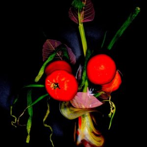 "Art Tomate" Œuvre Photographique Originale - MiDGiL Art Photographe