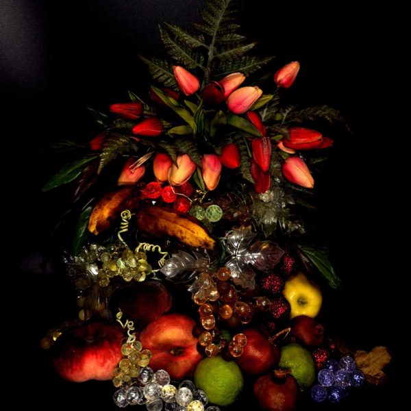 "Tulipe Fruitée" Œuvre Photographique Originale - MiDGiL Art Photographe
